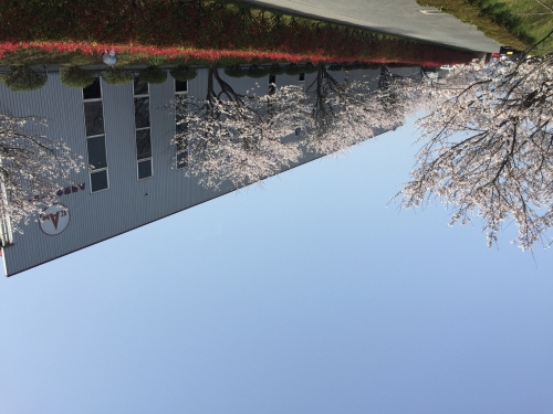 自動車整備士（大型車）募集します。