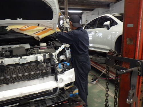 ✨【成長の毎日】