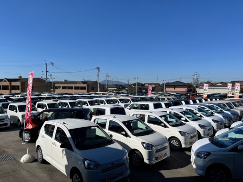 たくさんの展示車を用意しています