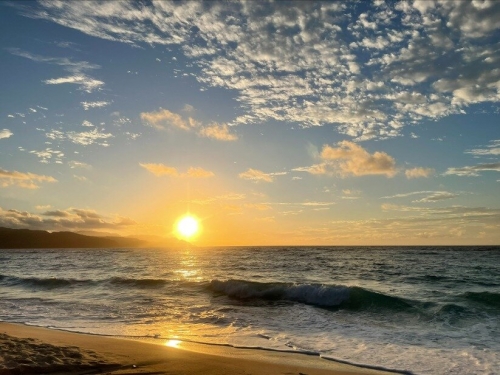 休日は奄美の大自然でゆっくり過ごせます