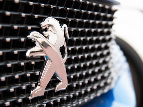 若手社員も活躍中