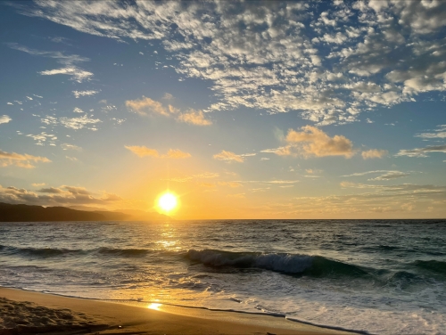 自然豊かな奄美大島にあります